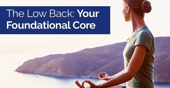 The Low Back: Your Foundational Core image