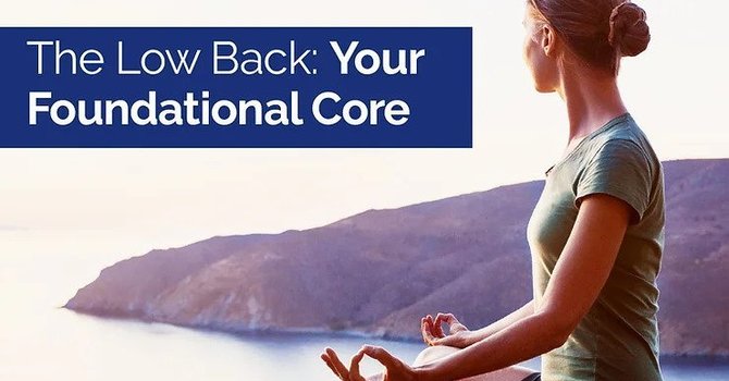 The Low Back: Your Foundational Core image