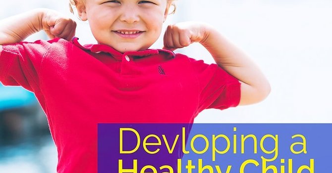 Developing a Healthy Child image