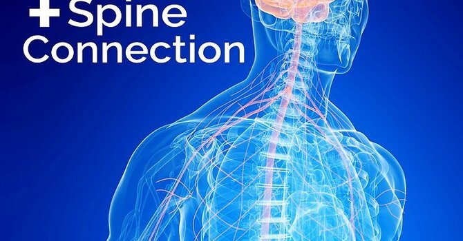 The Brain + Spine Connection image